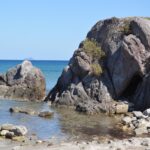 Outlet Dadar Beredar Waru: Surga Kuliner di Pusat Perbelanjaan