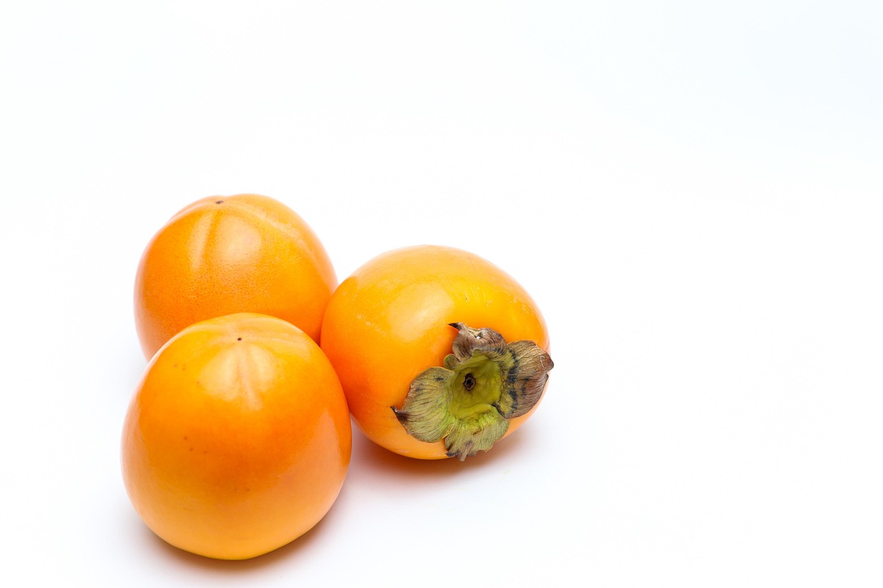 Outlet Dadar Beredar Waru: Pengalaman Kuliner yang Tak Terlupakan